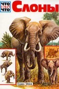 Слоны