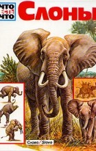 У. Зедлаг - Слоны
