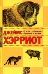 Картинка книги