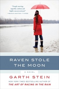 Garth Stein - Raven Stole the Moon
