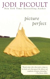 Jodi Picoult - Picture Perfect