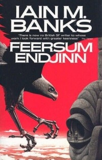 Iain Banks - Feersum Endjinn