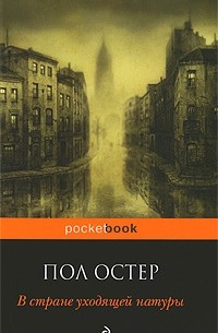 Пол Остер - В стране уходящей натуры