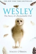 Стэйси О&#039;Брайен - Wesley: The Story of a Remarkable Owl