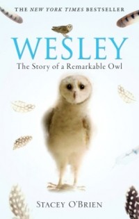 Стэйси О'Брайен - Wesley: The Story of a Remarkable Owl