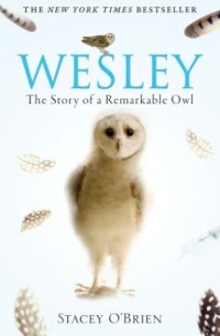 Стэйси О'Брайен - Wesley: The Story of a Remarkable Owl