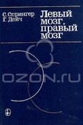  - Левый мозг, правый мозг