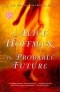 Alice Hoffman - The Probable Future