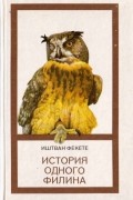 История одного филина