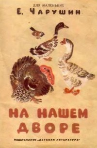 На нашем дворе