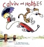 Bill Watterson - Calvin and Hobbes