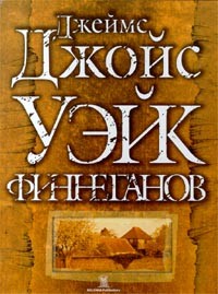  - Уэйк Финнеганов