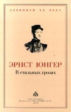 Эрнст Юнгер - В стальных грозах