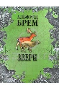 Альфред Брем - Звери. В 2 томах. Том 2