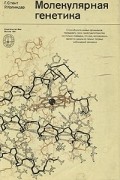 Молекулярная генетика