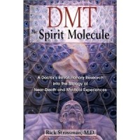 Rick Strassman - DMT: The Spirit Molecule