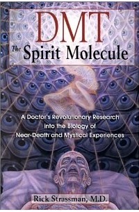 Rick Strassman - DMT: The Spirit Molecule