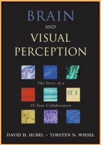  - Brain and Visual Perception: The Story of a 25-Year Collaboration