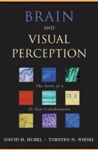 Brain and Visual Perception: The Story of a 25-Year Collaboration