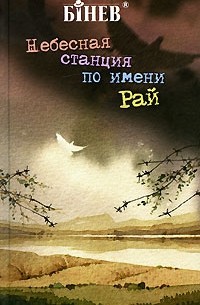 Небесная станция по имени Рай (сборник)