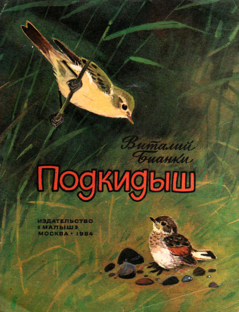 Книжка в.Бианки Подкидыш. Подкидыш книга Бианки.