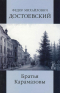 Ф. М. Достоевский - Собрание сочинений. Братья Карамазовы. Книга 2