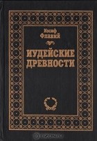 Иосиф Флавий - Иудейские древности