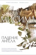 Падение ангела