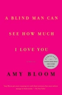 Amy Bloom - A Blind Man Can See How Much I Love You