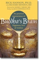Rich Hanson - Buddha&#039;s Brain