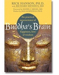 Rich Hanson - Buddha's Brain