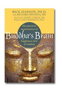 Rich Hanson - Buddha's Brain