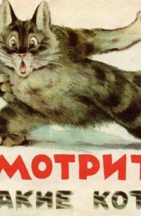 Посмотрите, какие котята