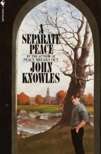 Реферат: A Separate Peace Is A