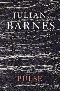 Julian Barnes - Pulse