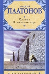 Котлован. Ювенильное море