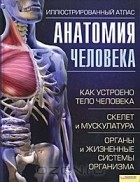 Адольфо Кассан - Анатомия человека. Иллюстрированный атлас