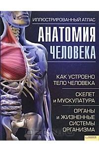 Адольфо Кассан - Анатомия человека. Иллюстрированный атлас