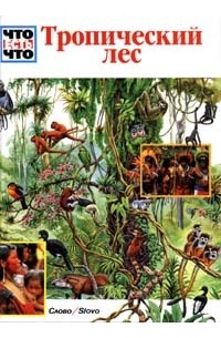 Андреа Мертини - Тропический лес (сборник)