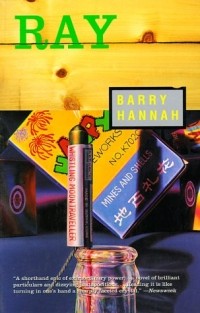 Barry Hannah - Ray