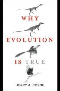 Джерри Койн - Why Evolution Is True