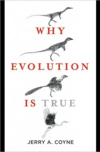 Джерри Койн - Why Evolution Is True