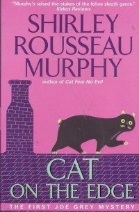 Cat on the Edge