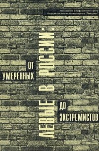 Левые в России: от умеренных до экстремистов