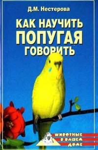 Как научить попугая говорить