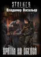 Владимир Васильев - Прятки на осевой