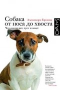 Александра Горовиц - Собака от носа до хвоста