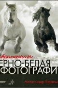 Современная черно-белая фотография