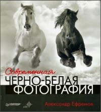 Александр Ефремов - Современная черно-белая фотография (сборник)