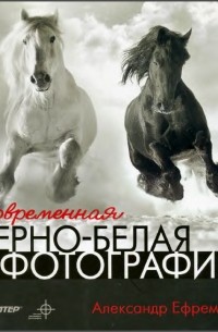 Александр Ефремов - Современная черно-белая фотография (сборник)